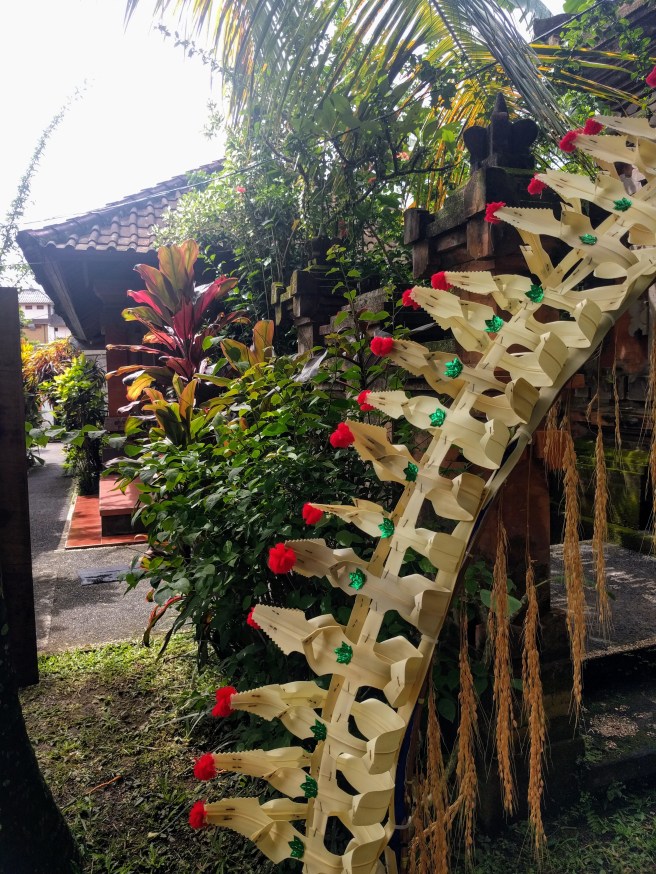 clone tag: -7429662428388163649